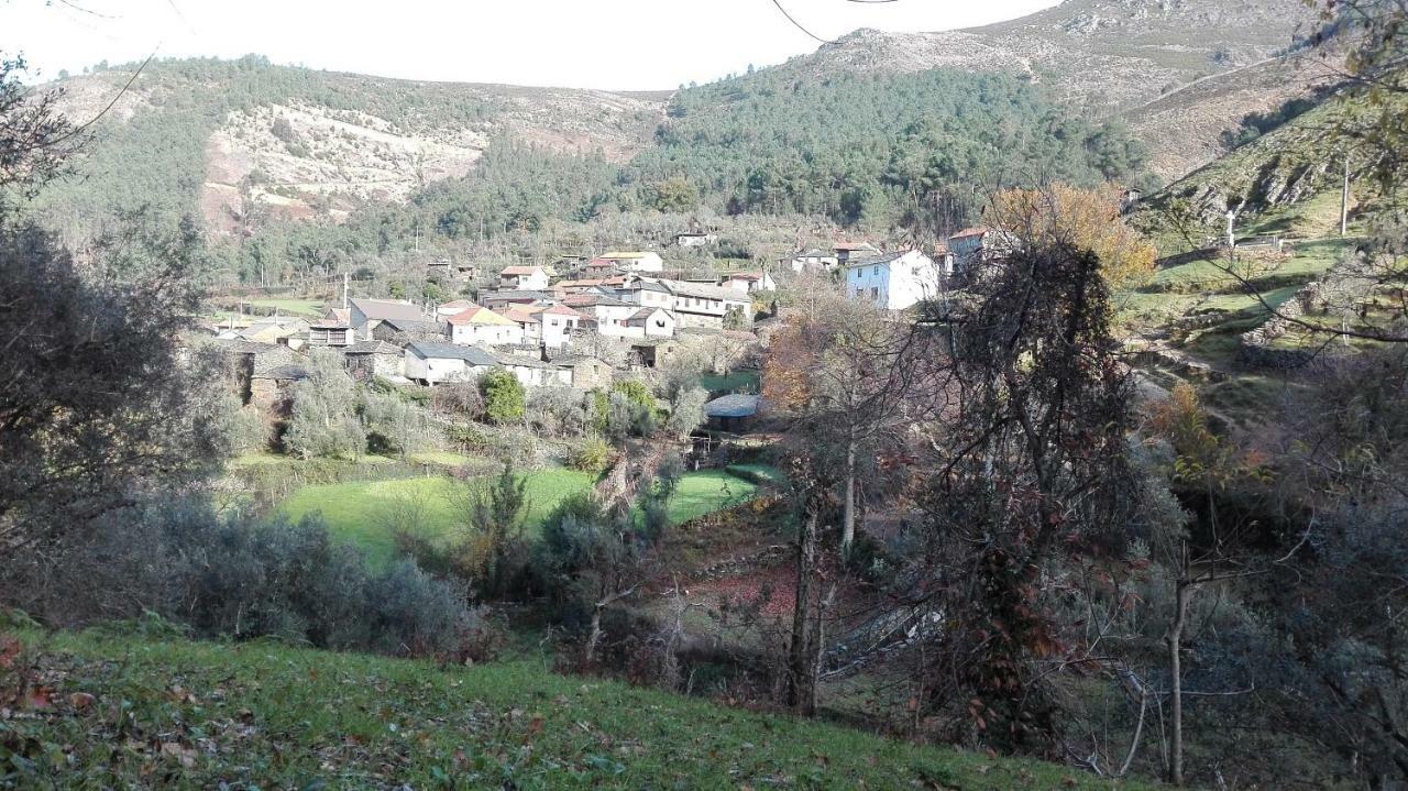 Casa Bernaldo Lägenhet Covas do Monte Exteriör bild