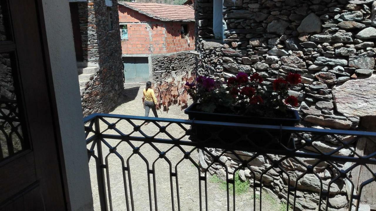 Casa Bernaldo Lägenhet Covas do Monte Exteriör bild