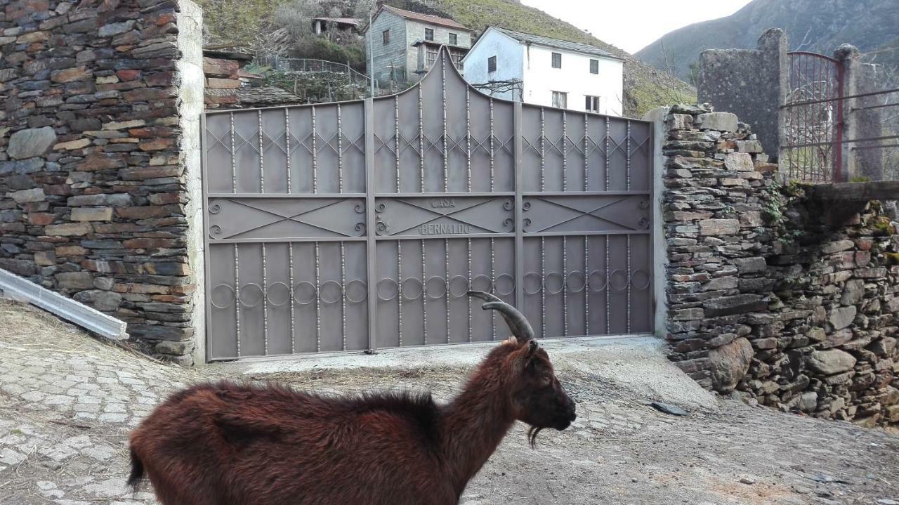 Casa Bernaldo Lägenhet Covas do Monte Exteriör bild